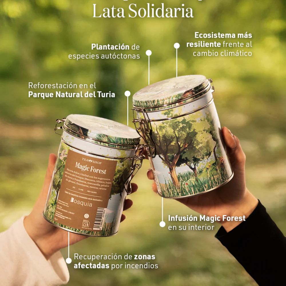 Lata Bosquia - Magic Forest 25-26 - Image 3
