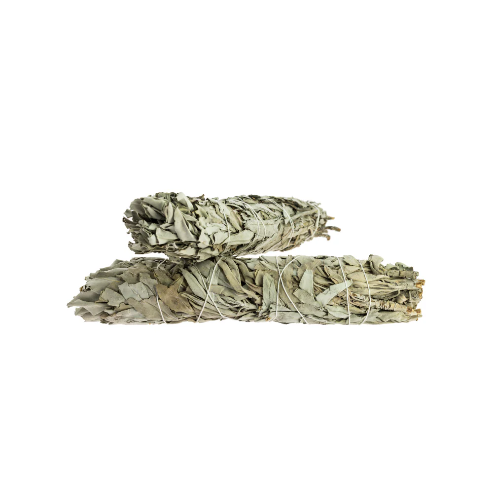 Salvia Blanca California - Image 3