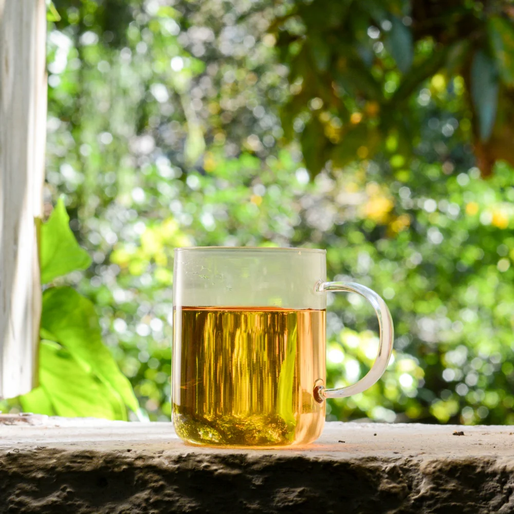 Té Verde Moruno - Image 5